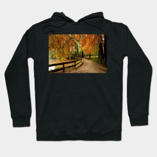 Autumn in the park Hoodie